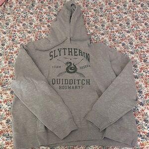 Slytherin Gray Hoodie for Men
